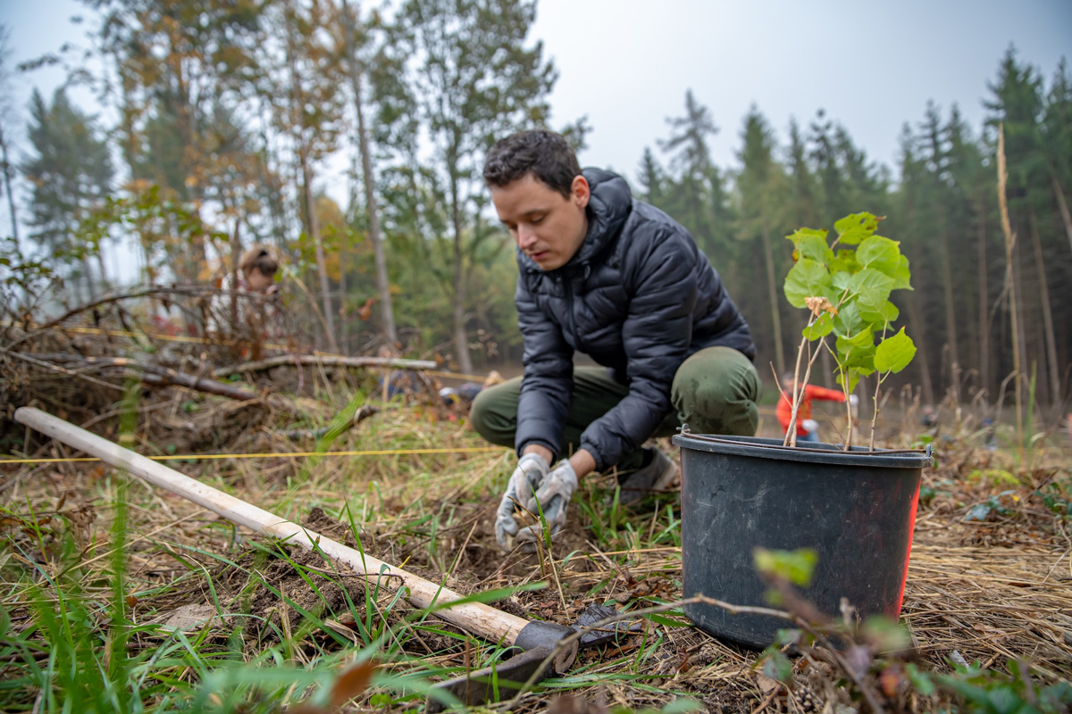 A man planting a tree