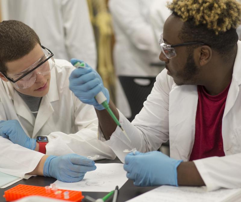 Two students wearing lab coats work on a project in the bioengineering lab